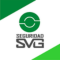 Seguridad SVG